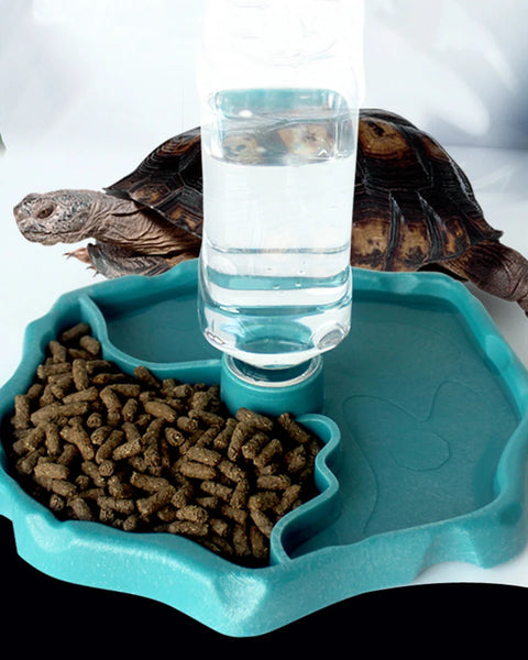Original reptile feeding bowl, safe and durable pet food and water dish for turtles, lizards, and amphibians, easy to clean and practical.