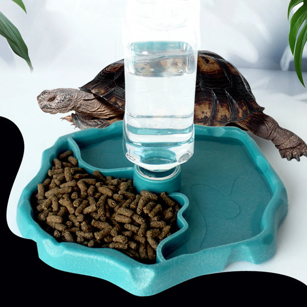 Original reptile feeding bowl, safe and durable pet food and water dish for turtles, lizards, and amphibians, easy to clean and practical.