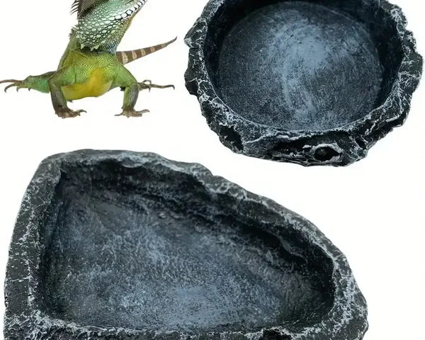 Original reptile feeding and water bowl, non-toxic durable material, realistic stone design, safe for bearded dragons and small reptiles.